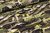Sommersweat French Terry Digitaldruck Organics Camouflage Army