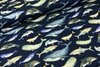 Baumwolljersey Jerseydruck Organics Schönheiten der Meere Navy - Jeans