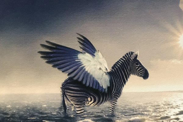Baumwolljersey Panel Flying Zebra Ozean Meer Blau